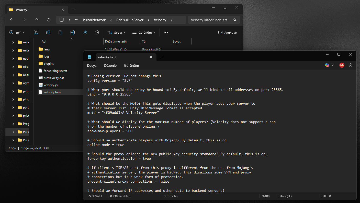 Pasted image 20260218223542.png