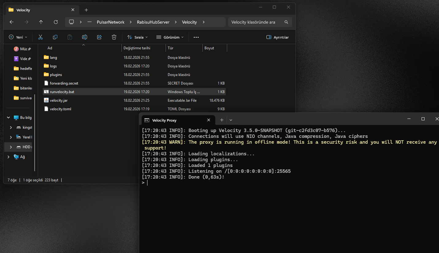 Pasted image 20260219172113.png