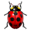 bug_64.png