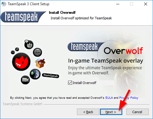 TeamSpeak Yükleme Adımı 6